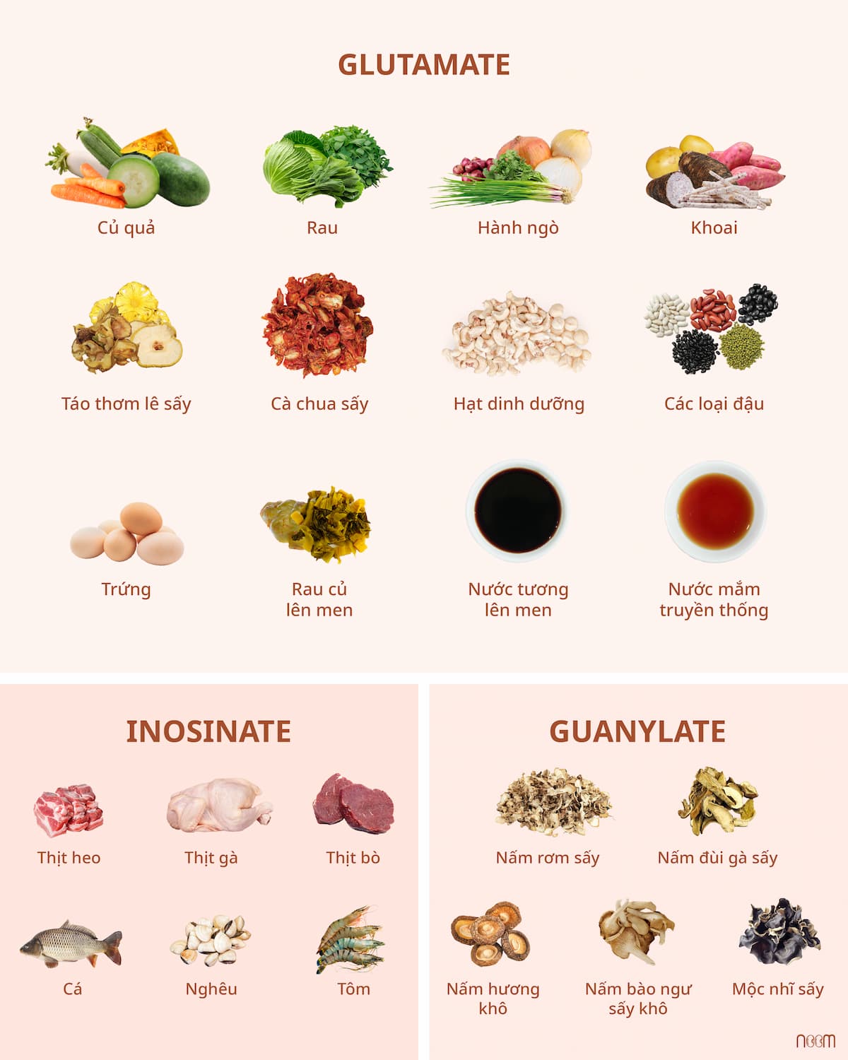 Vị Umami Là Gì – Phân Biệt Umami Tự Nhiên & Umami MSG Nhân Tạo 5 umami