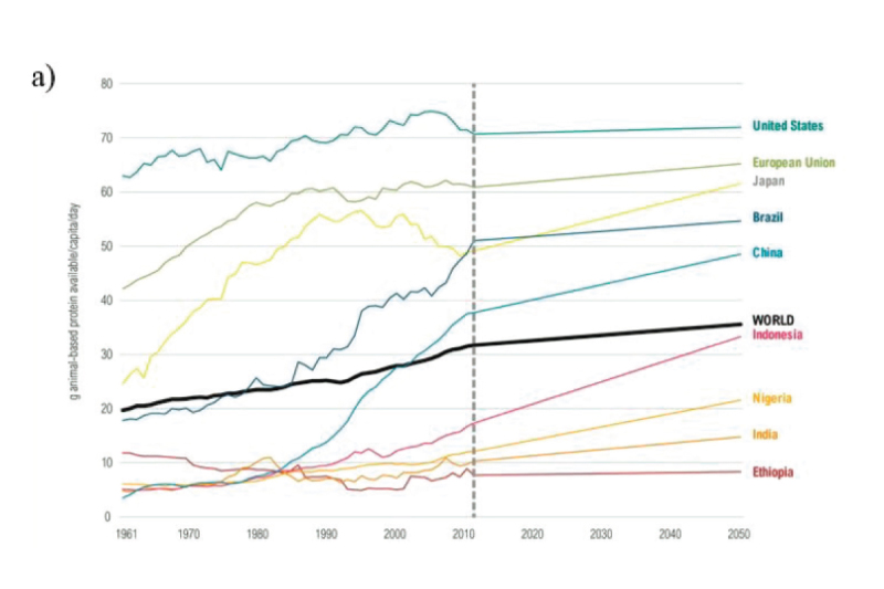 Xu hướng ăn thịt ngày càng tăng qua các năm tại nhiều quốc gia trên thế giới (1961-2050).