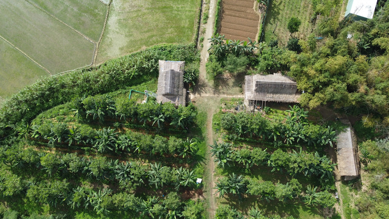Quy hoạch mô hình nông nghiệp vườn rừng bền vững tại farm noom