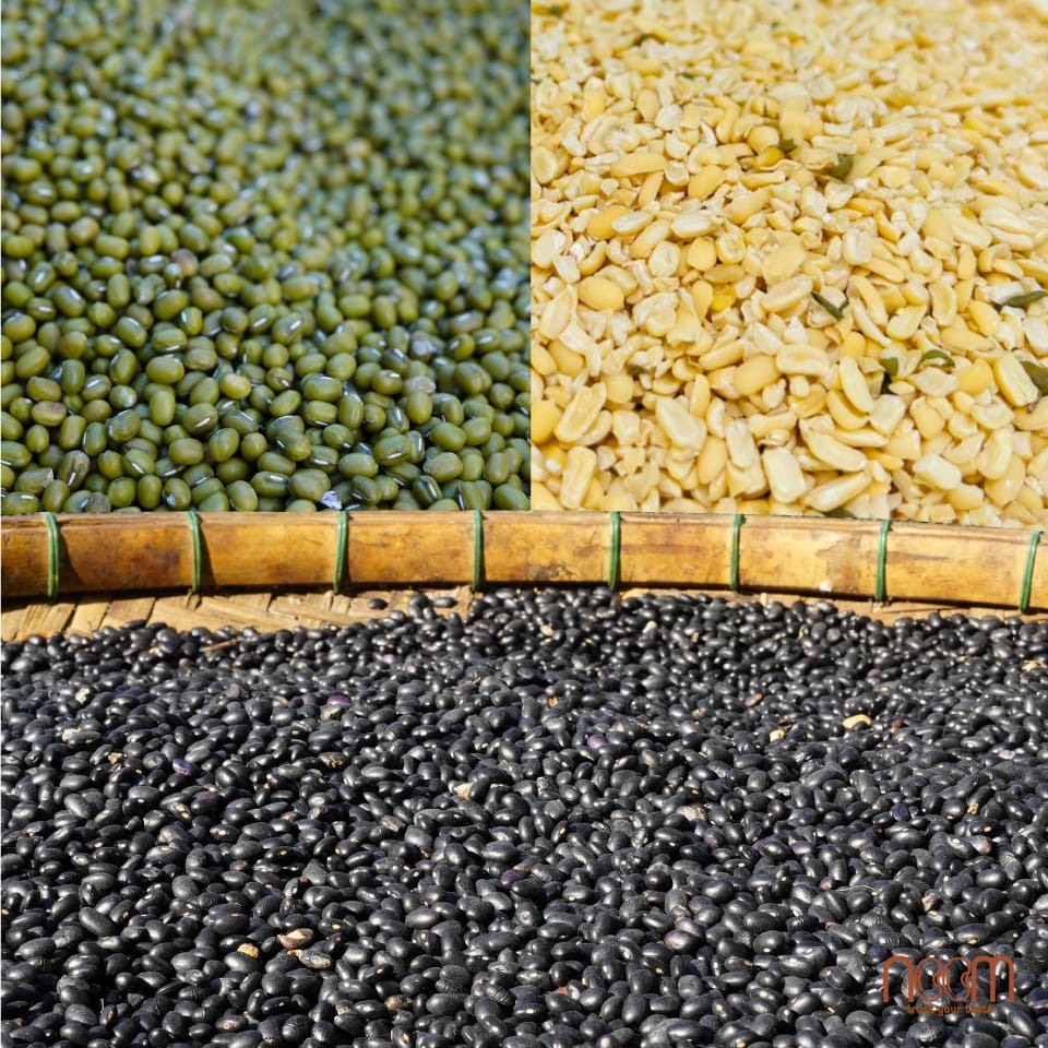 Nguyên liệu hạt ngũ cốc dinh dưỡng trong cơm ghế đậu