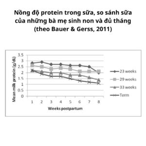 Nồng độ protein trong sữa, so sánh sữa của những bà mẹ sinh non và đủ tháng (theo Bauer & Gerss, 2011)