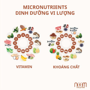 Dinh dưỡng vi lượng (Micronutrients)