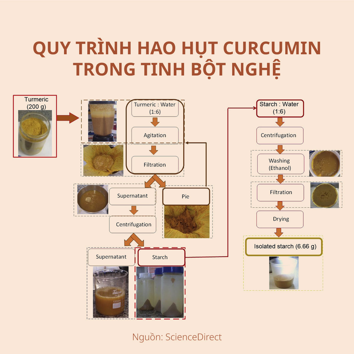 quy trinh san xuat tinh bot nghe