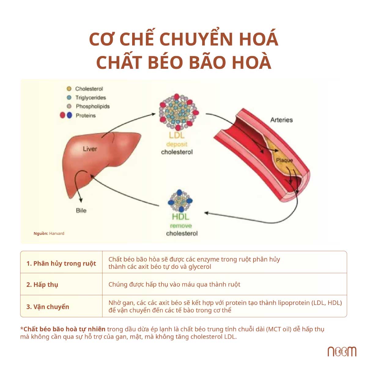 chất béo bão hoà có tốt không