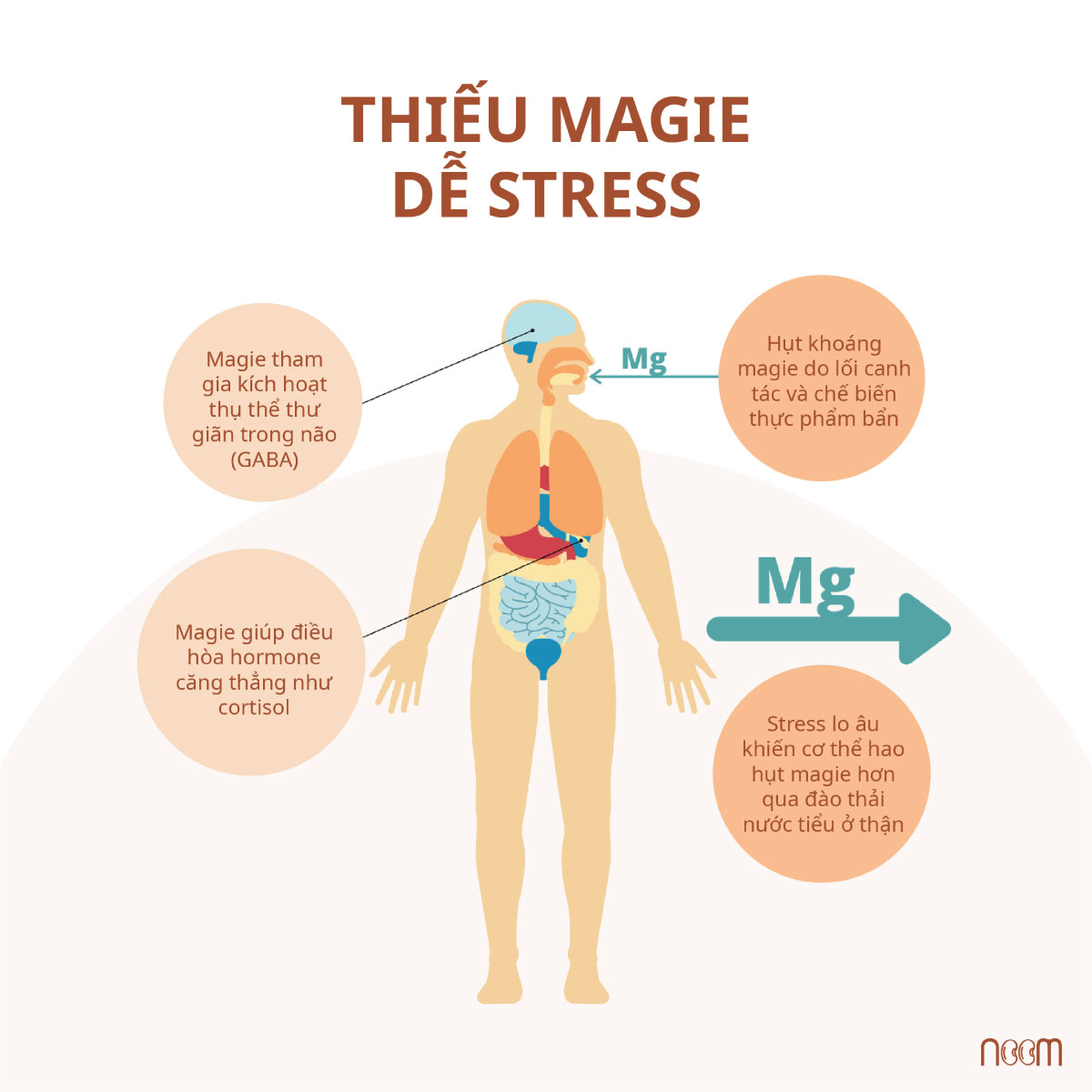 Thiếu Magie, dễ stress