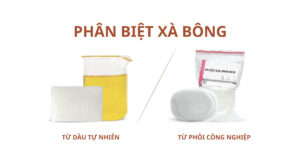noom xa bong cuc thmb