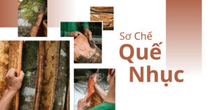 noom san xuat bot que 210525 1