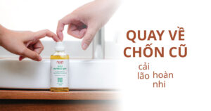 công dụng dầu đương quy