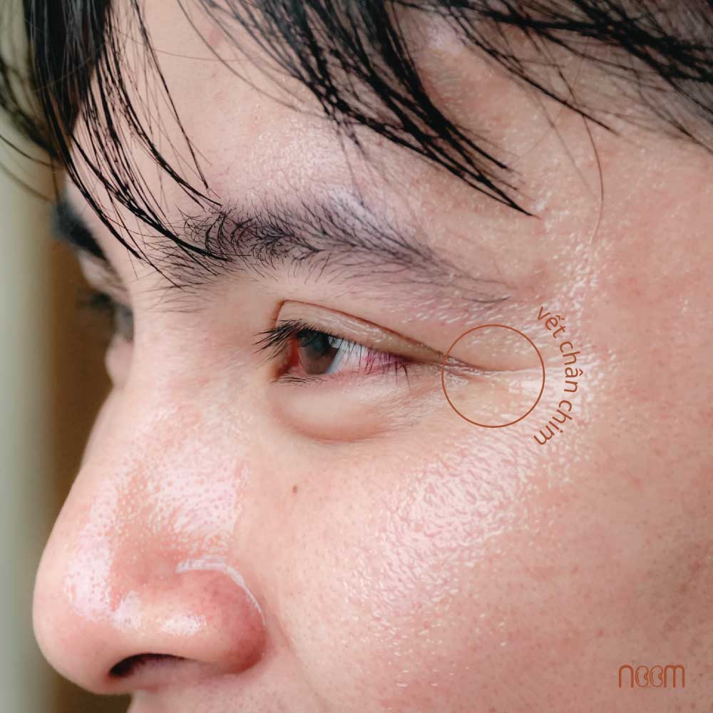 công dụng dầu đương quy