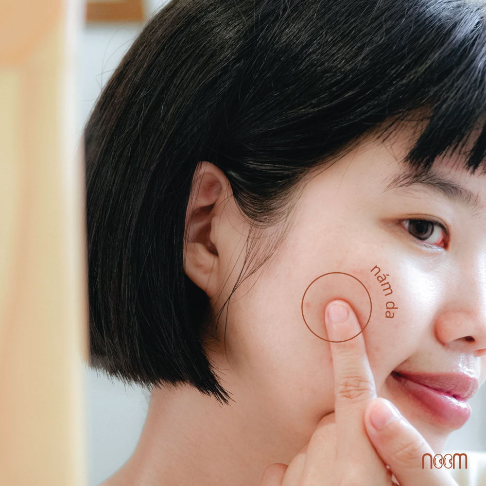 công dụng dầu đương quy